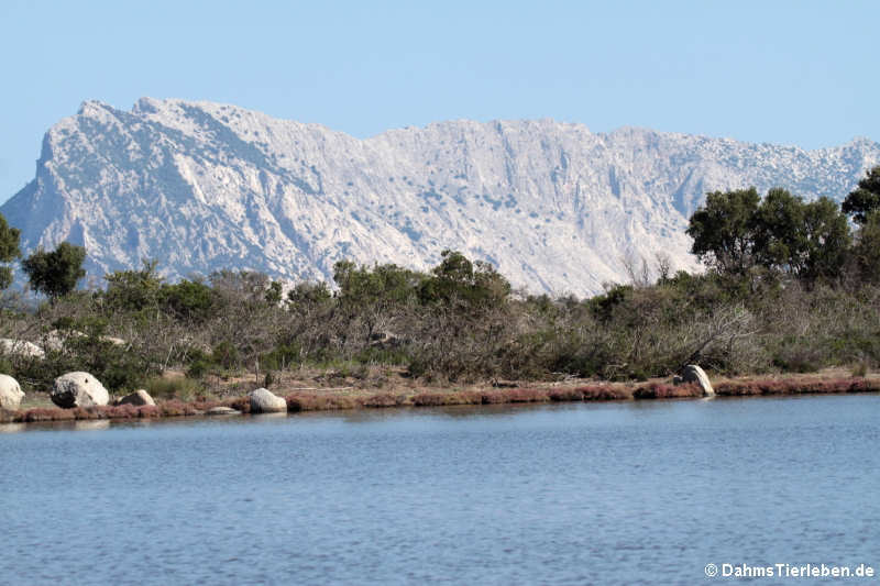 Die Lagune von San Teodoro