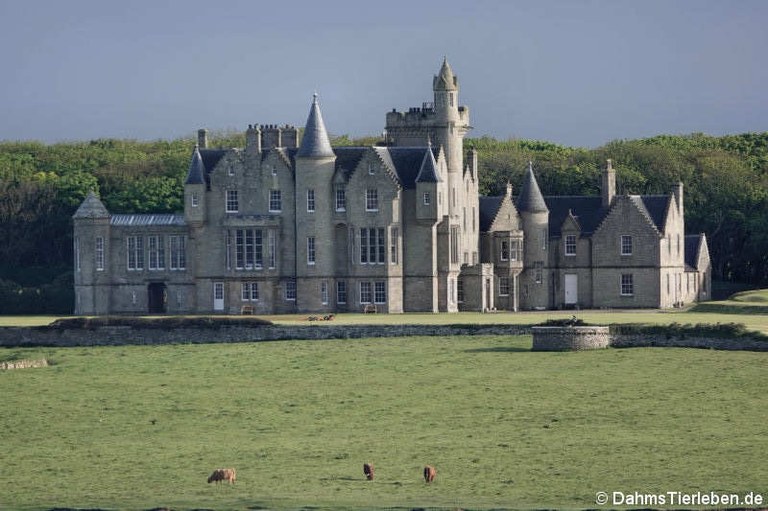 Balfour Castle