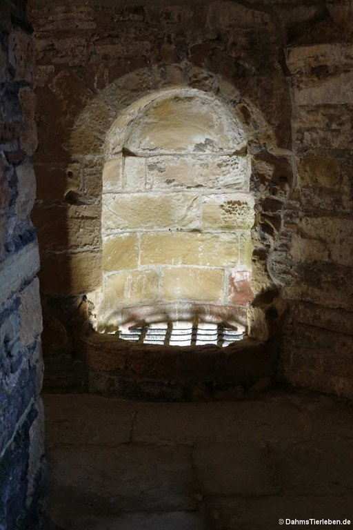 Brunnen im Earl's Palace