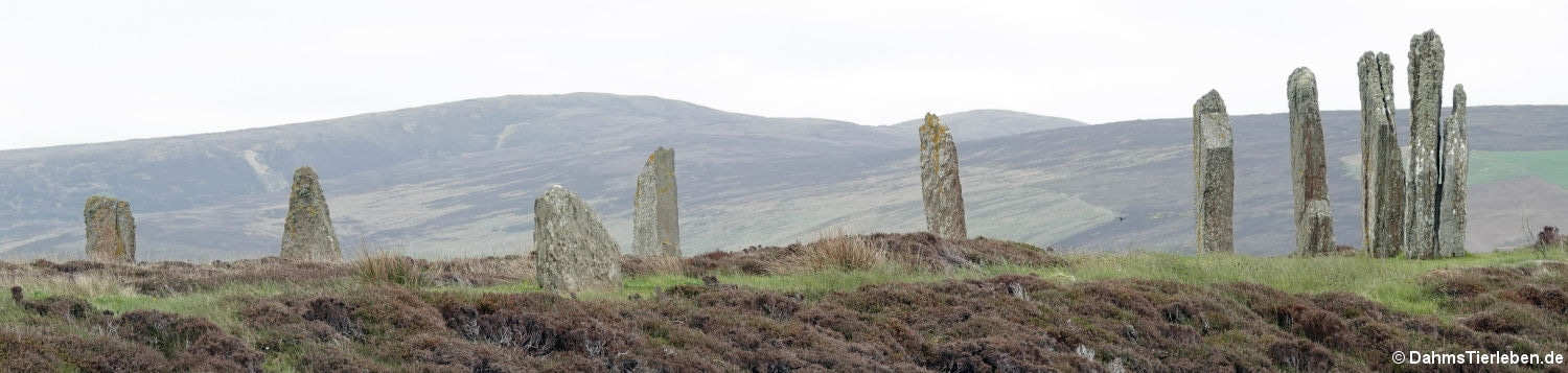 Ring of Brodgar