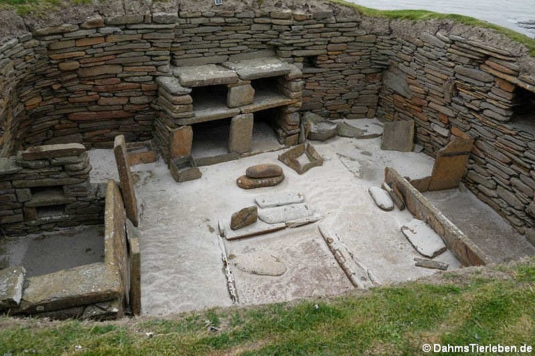 Haus-1 aus Skara Brae