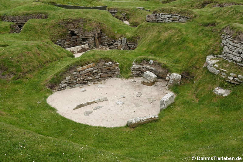 Skara Brae Haus 10