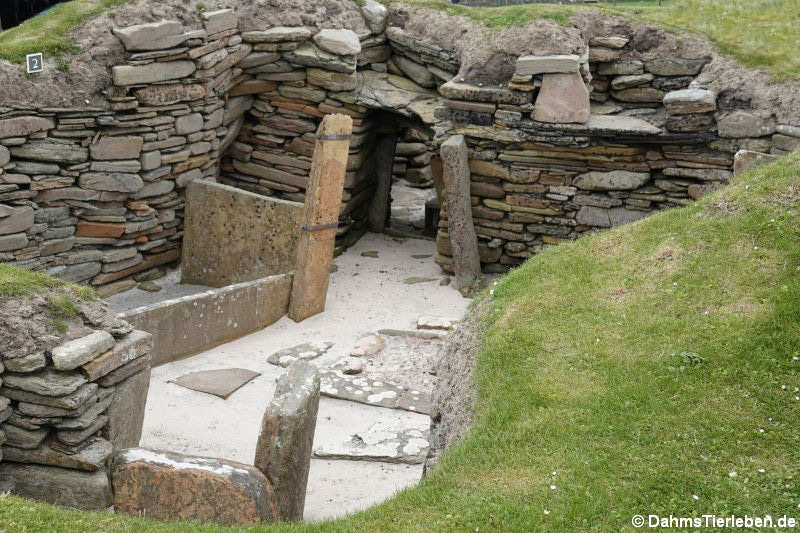 Skara Brae Haus 2