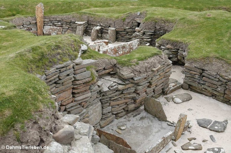 Haus-4 aus Skara Brae