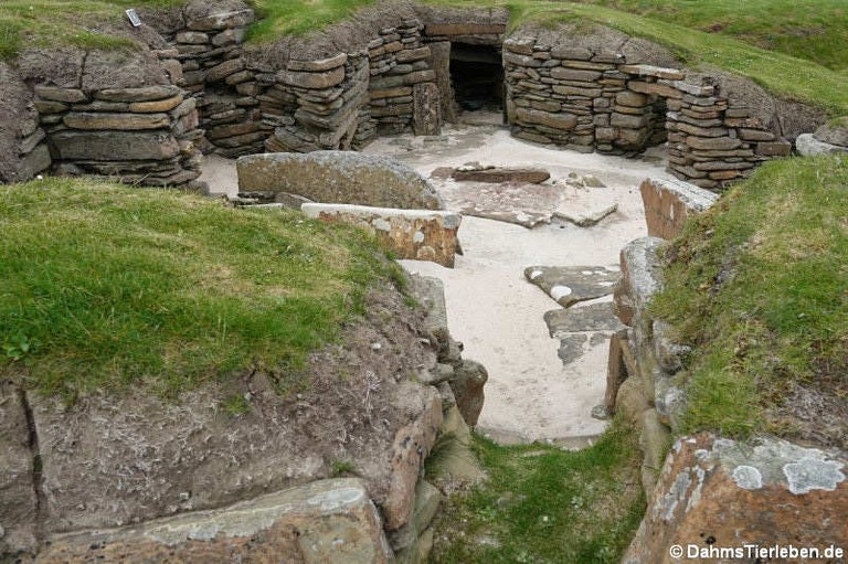 Haus-8 aus Skara Brae