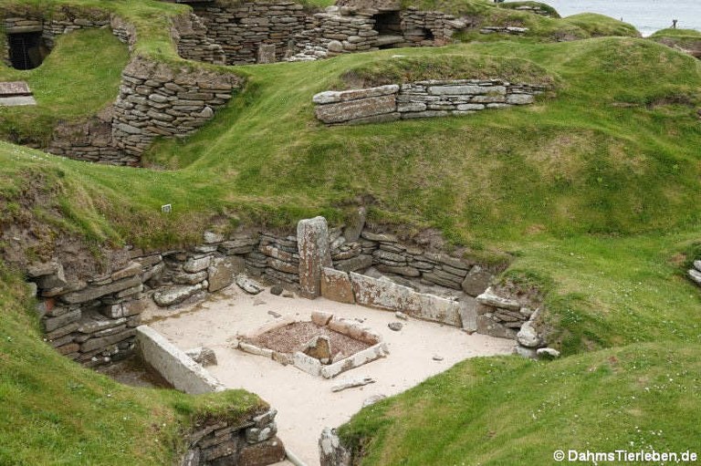 Haus-9 aus Skara Brae