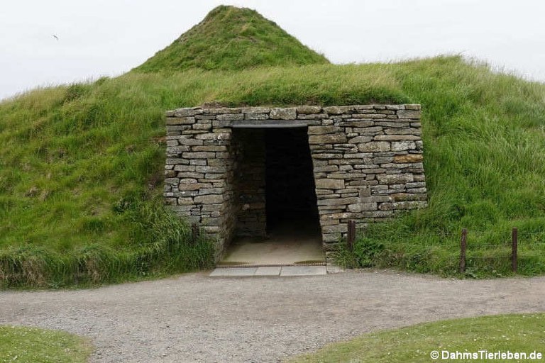 Eingang zum Nachbau von Haus-7 aus Skara Brae