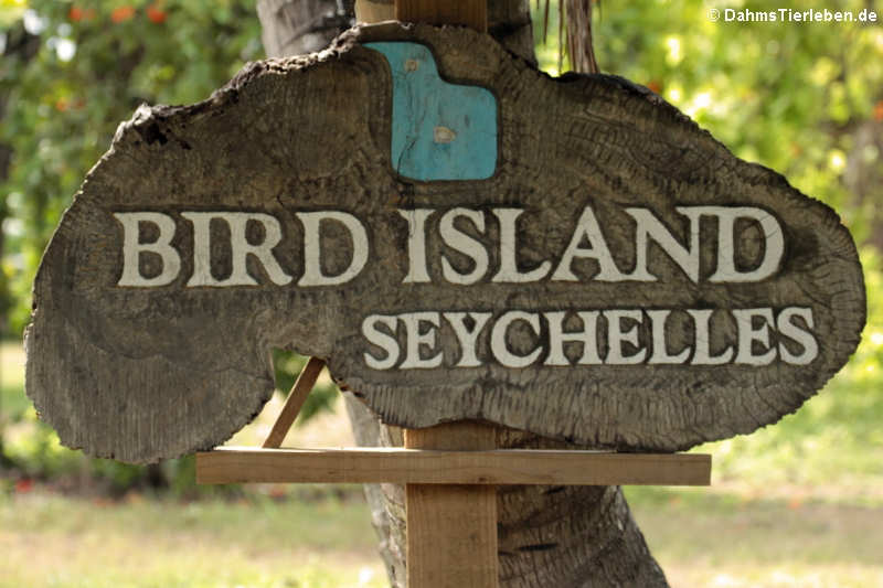 Willkommen auf Bird Island