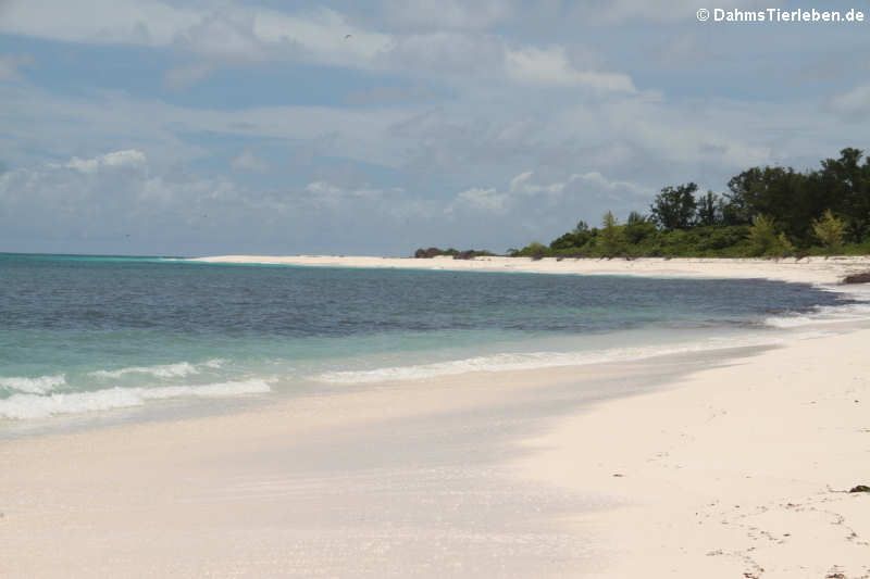 Die Insel ist umgeben von ...