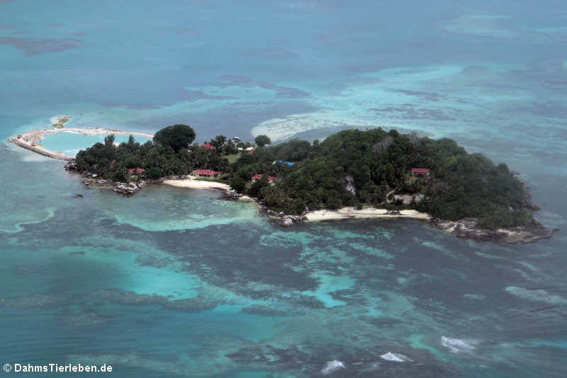 Die Ile Anonyme vor der Küste von Mahé