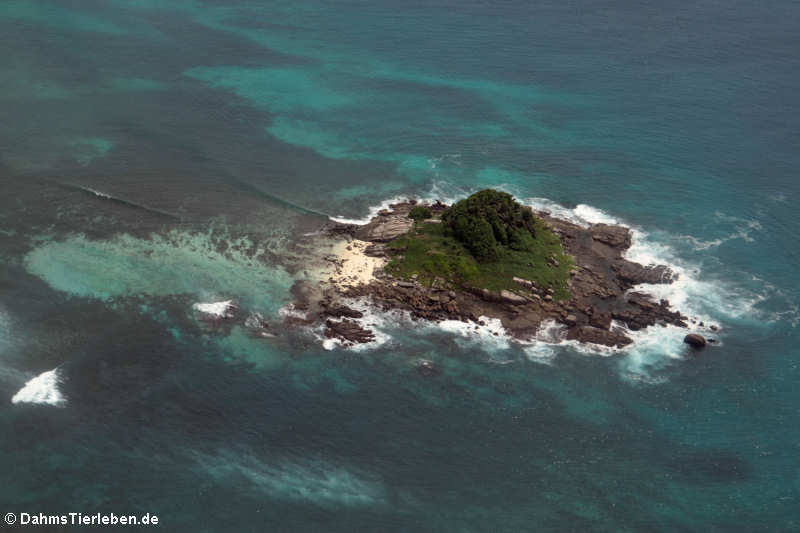 Die Ile aux Rats vor der Küste von Mahé