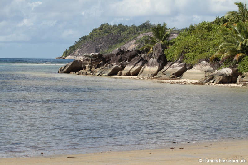 Am Strand auf Mahé