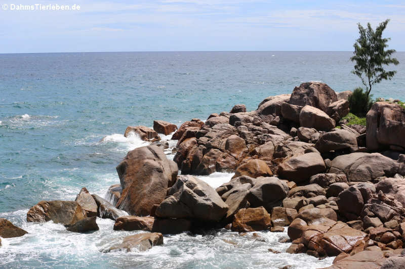 Felsiger Küstensabschnitt auf Praslin