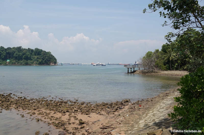 Labrador Nature Reserve