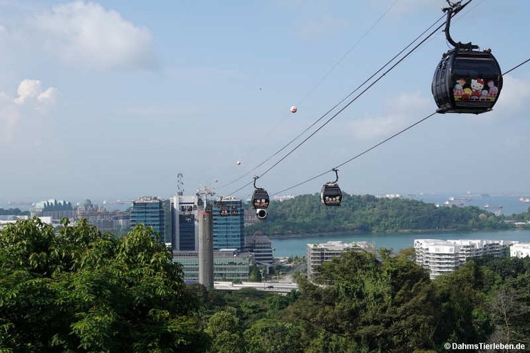 Singapore Cable Car