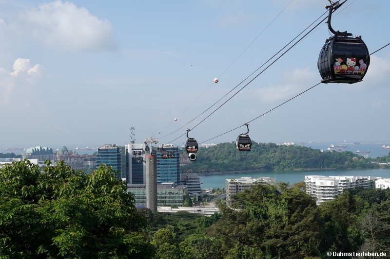 Singapore Cable Car