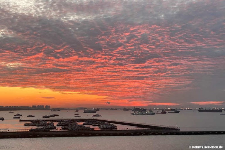 Sonnenuntergang Singapur