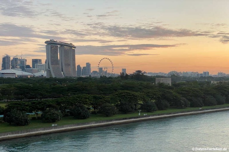 Marina Bay