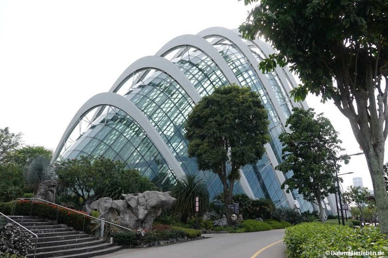 Marina Bay