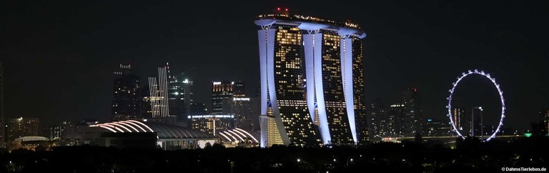 Marina Bay Sands