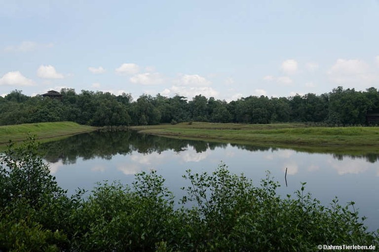 Sungei Buloh Wetland Reserve