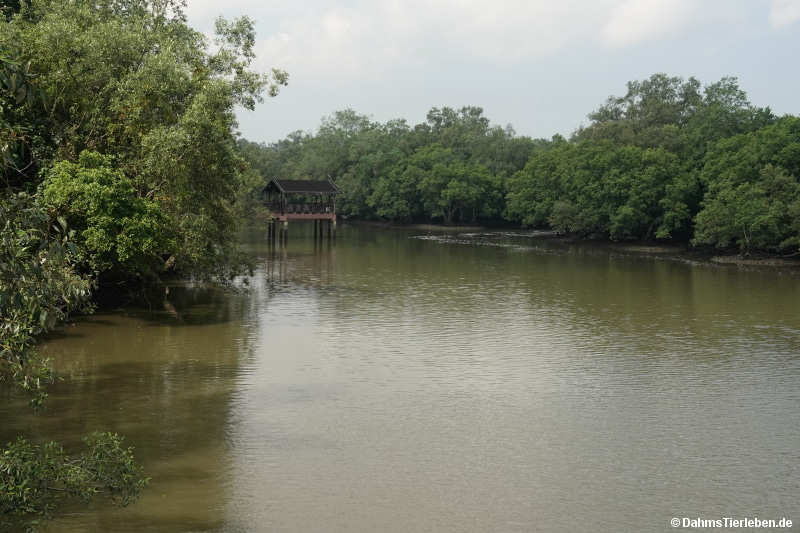 Sungei Buloh Wetland Reserve