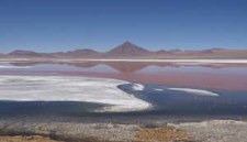 Laguna Colorada Laguna Colorada