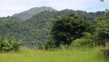Dominica, the Nature Island Dominica, the Nature Island