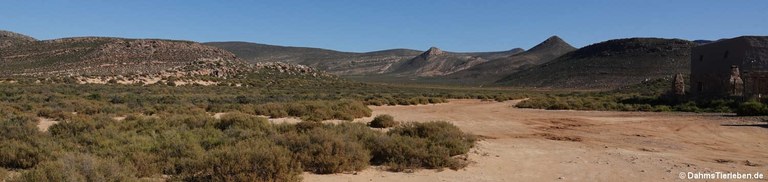 Aquila Privat Game Reserve