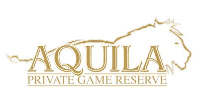 aquila.jpg