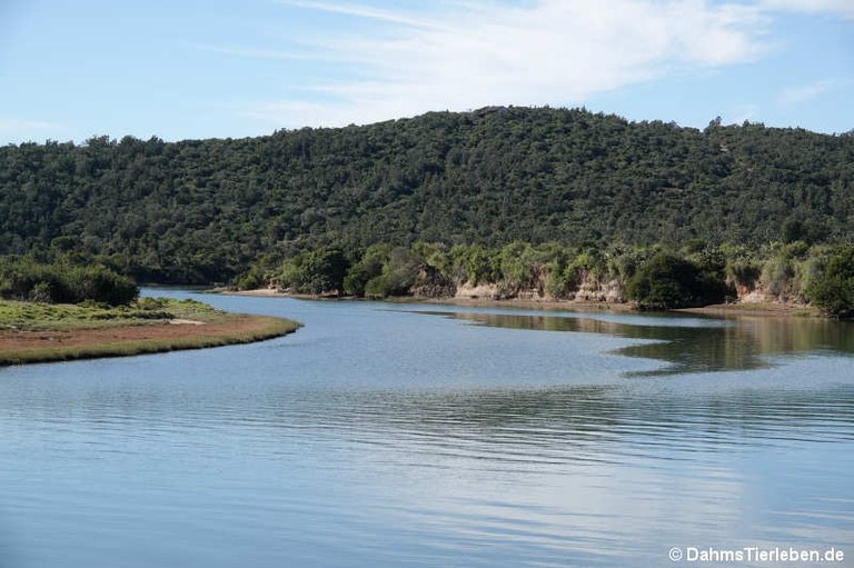 Sibuya Game Reserve