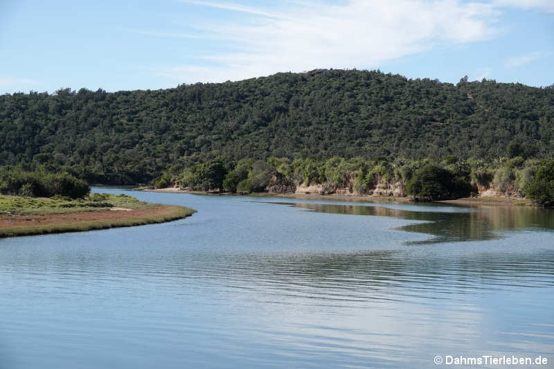 Sibuya Game Reserve