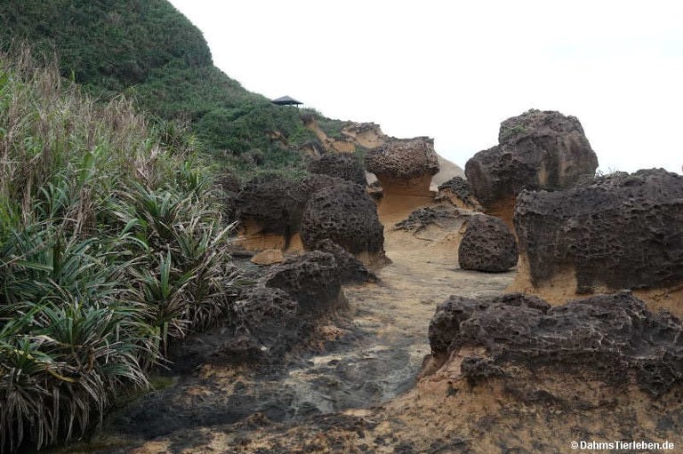 Geopark Yehliu