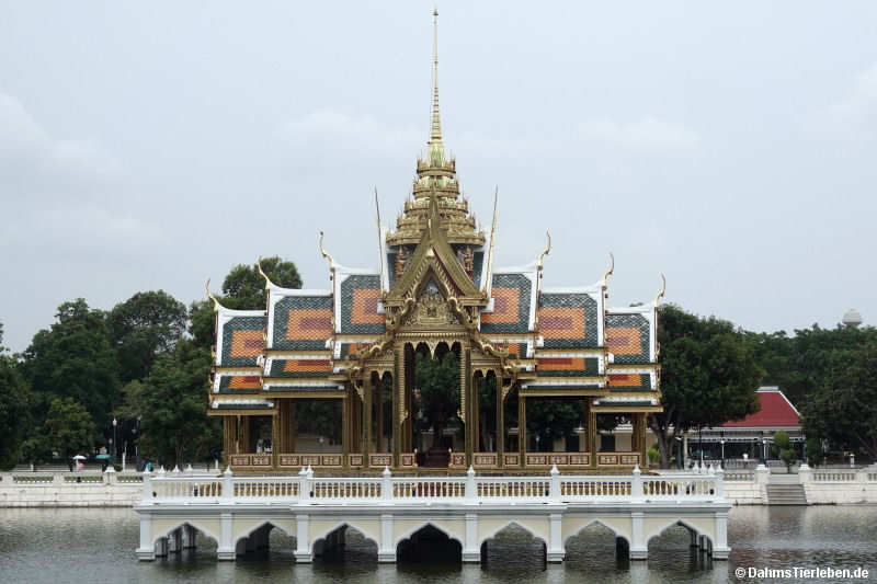 Aisawan Thiphya
