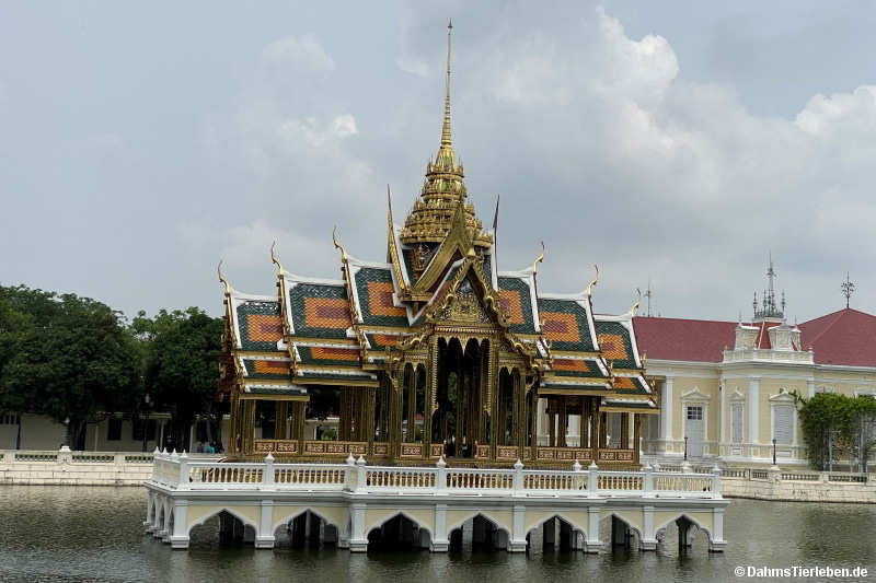 Aisawan Thiphya Aisawan Thiphya