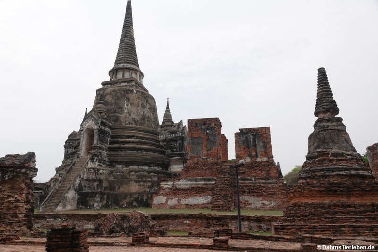 Ayutthaya.jpg