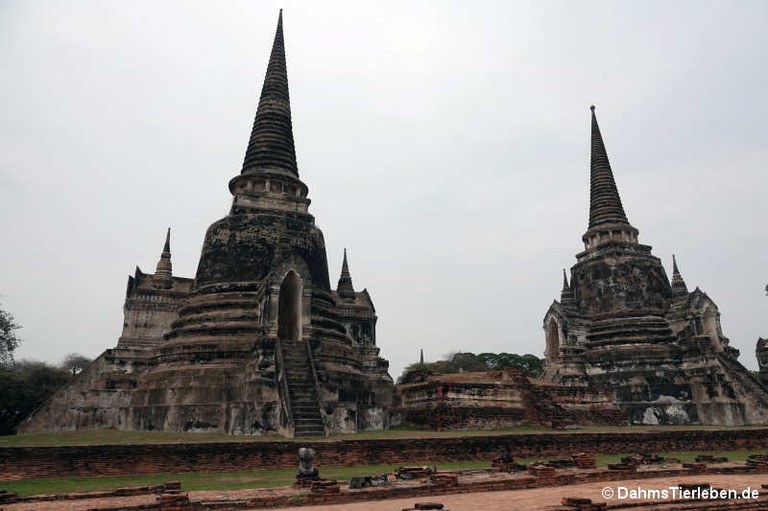si-sanphet-01.jpg