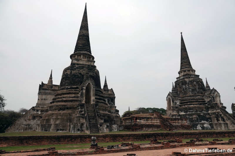 si-sanphet-01.jpg
