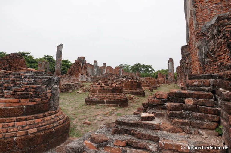 si-sanphet-02.jpg