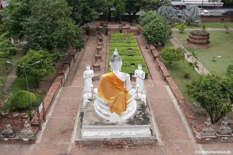 Wat Yai Chai Mongkhon