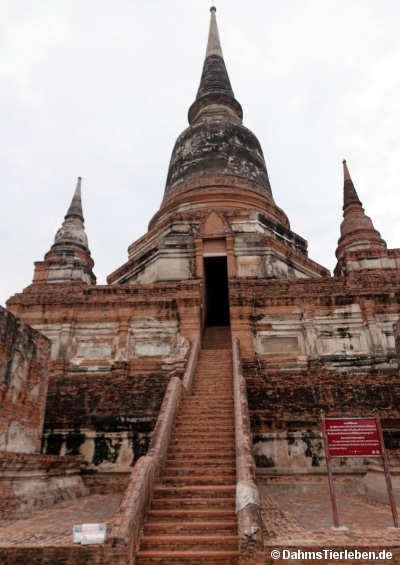 Wat Yai Chai Mongkhon