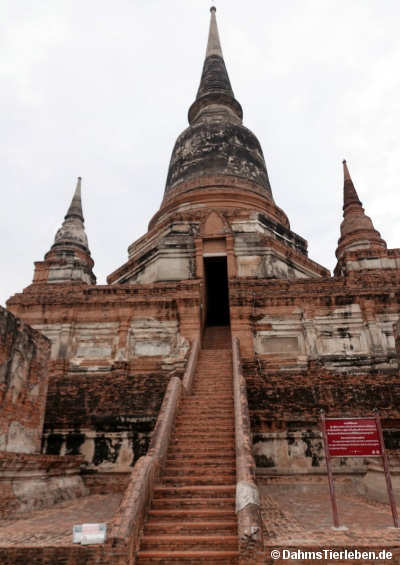 Mongkhon-5