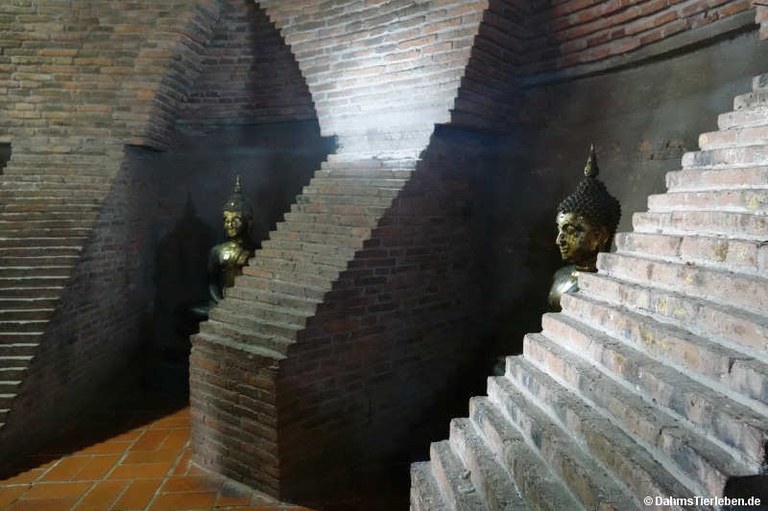 Wat Yai Chai Mongkhon