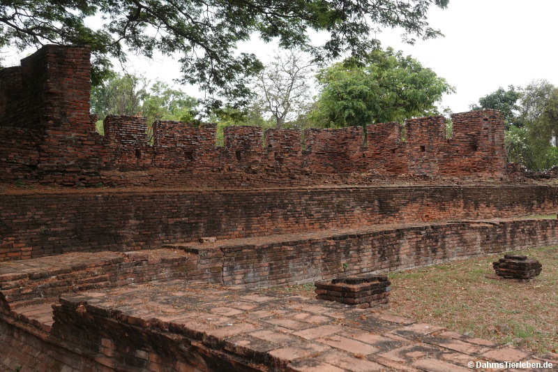 Sanphet-11