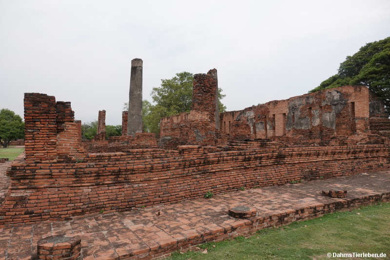Sanphet-12