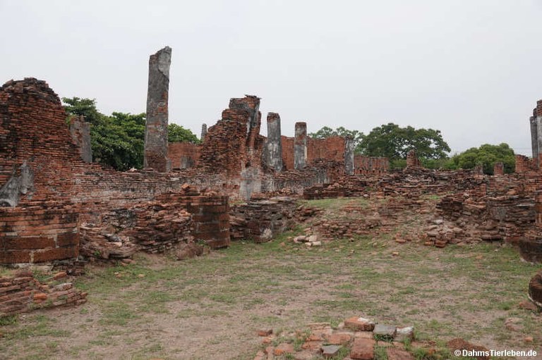 Wat Phra Si Sanphet