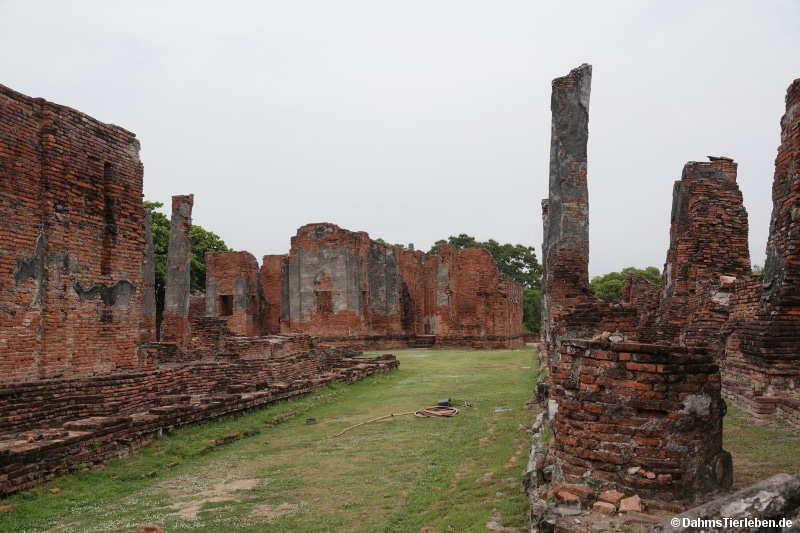 Sanphet-15