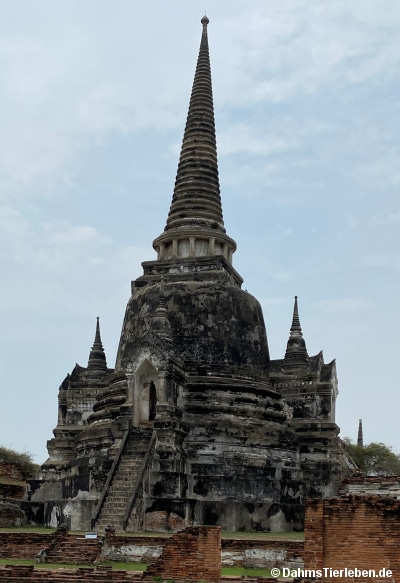 Chedi Sanphet-27