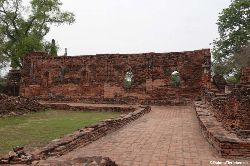 Sanphet-34