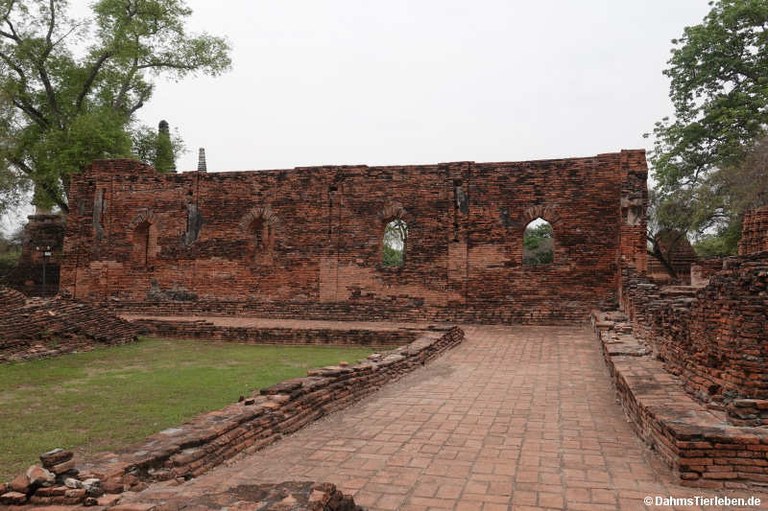 Wat Phra Si Sanphet